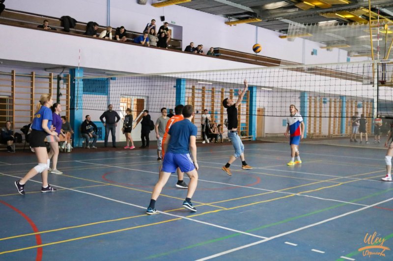 В УлГПУ стартует внутривузовский спортивный фестиваль среди студентов первого курса очного отделения «Надежда и опора»