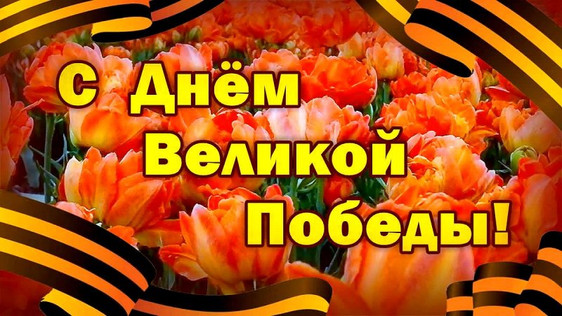 9 мая – День Победы в Великой Отечественной войне. Поздравление от Губернатора Сергея Морозова