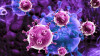 Роспотребнадзор: коронавирус отступает, растут случаи пневмонии