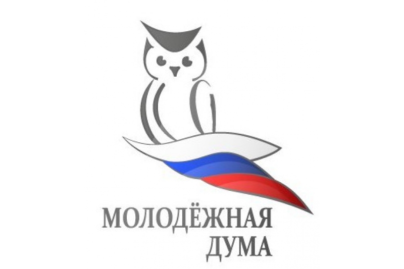 До 24 ноября принимаются документы от кандидатов в депутаты Молодежной Думы города Ульяновска