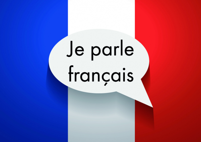 УлГПУ объявляет набор слушателей на изучение программы дополнительного образования «Французский язык. Пороговый уровень DELF B1»