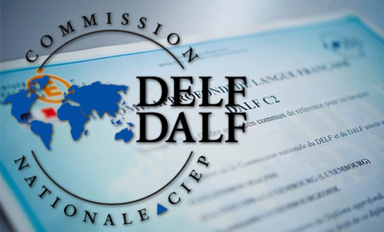 В УлГПУ им. И.Н. Ульянова прошел   международный обучающий семинар «Международный экзаменатор DELF-DALF»