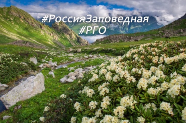 РГО РФ объявляет конкурс фотоисторий «Россия заповедная», снятых в особо охраняемых природных территориях страны